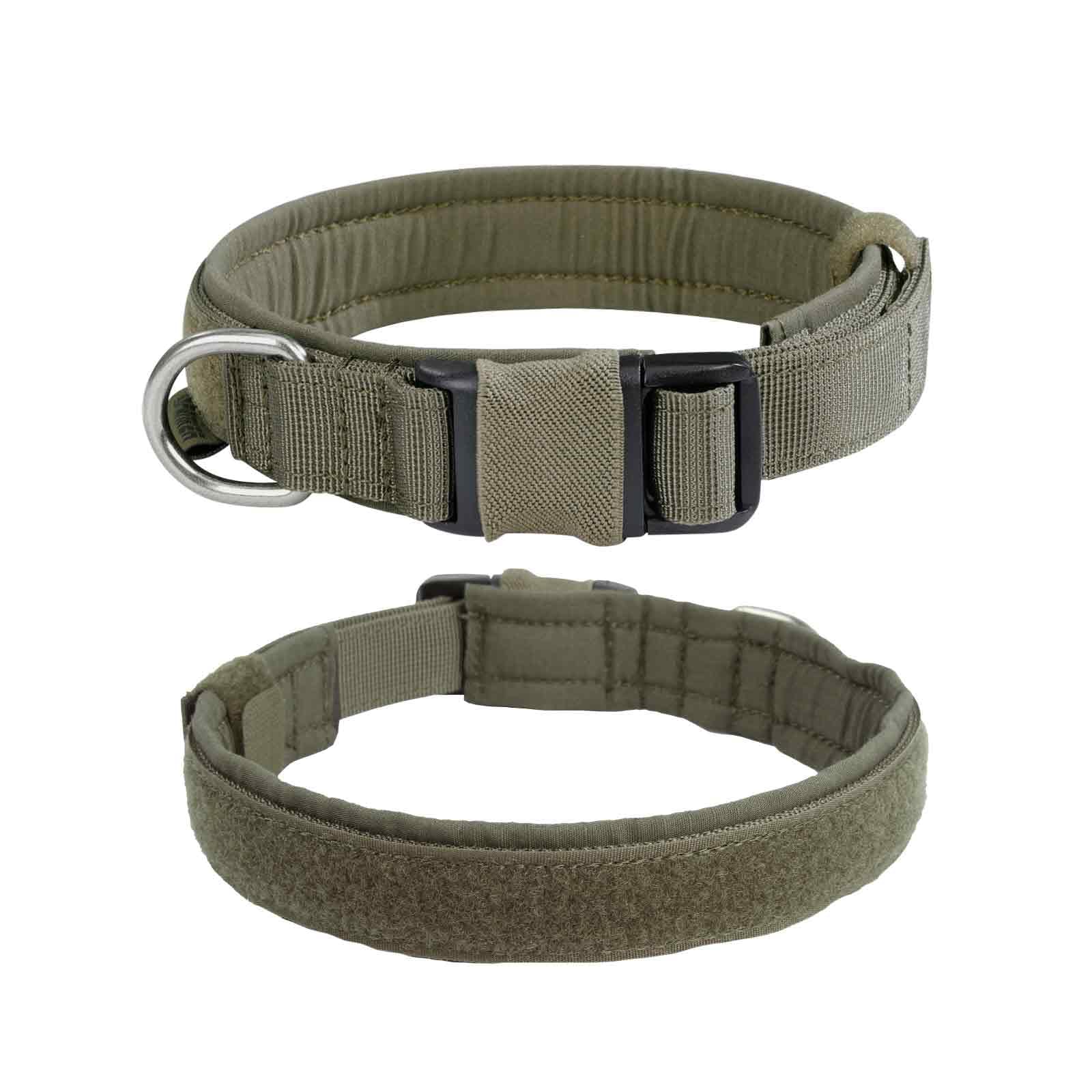 Collier tactique pour petit chien : l'accessoire idéal pour vos randonnées en forêt