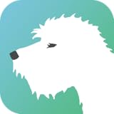 Baby Comes Home: Dudley Doodle - A children's storybook about a new baby from a dog's perspective.