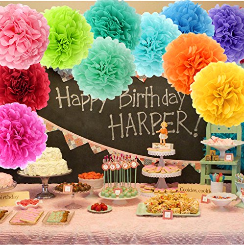 APLANET 15 pompi Pom Pom Pompi (12 colori)