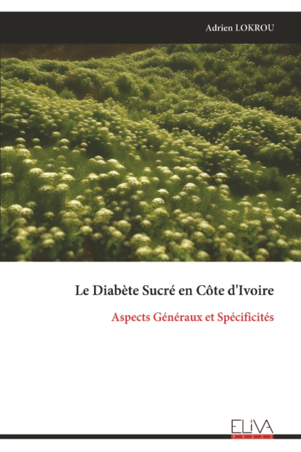 Le Diabète Sucré en Côte d'Ivoire: Aspects Généraux et Spécificités