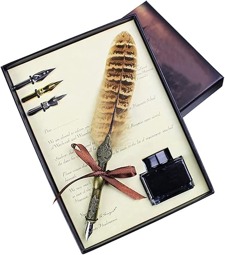 DSWINCE Juego de bolĂgrafos de caligrafĂa de plumas para principiantes, punta de metal, pluma de tinta, pluma estilográfica vintage, juego de regalo DSWINCE Juego de bolĂgrafos de caligrafĂa de plumas para principiantes, punta de metal, pluma de tinta, pluma estilográfica vintage, juego de regalo