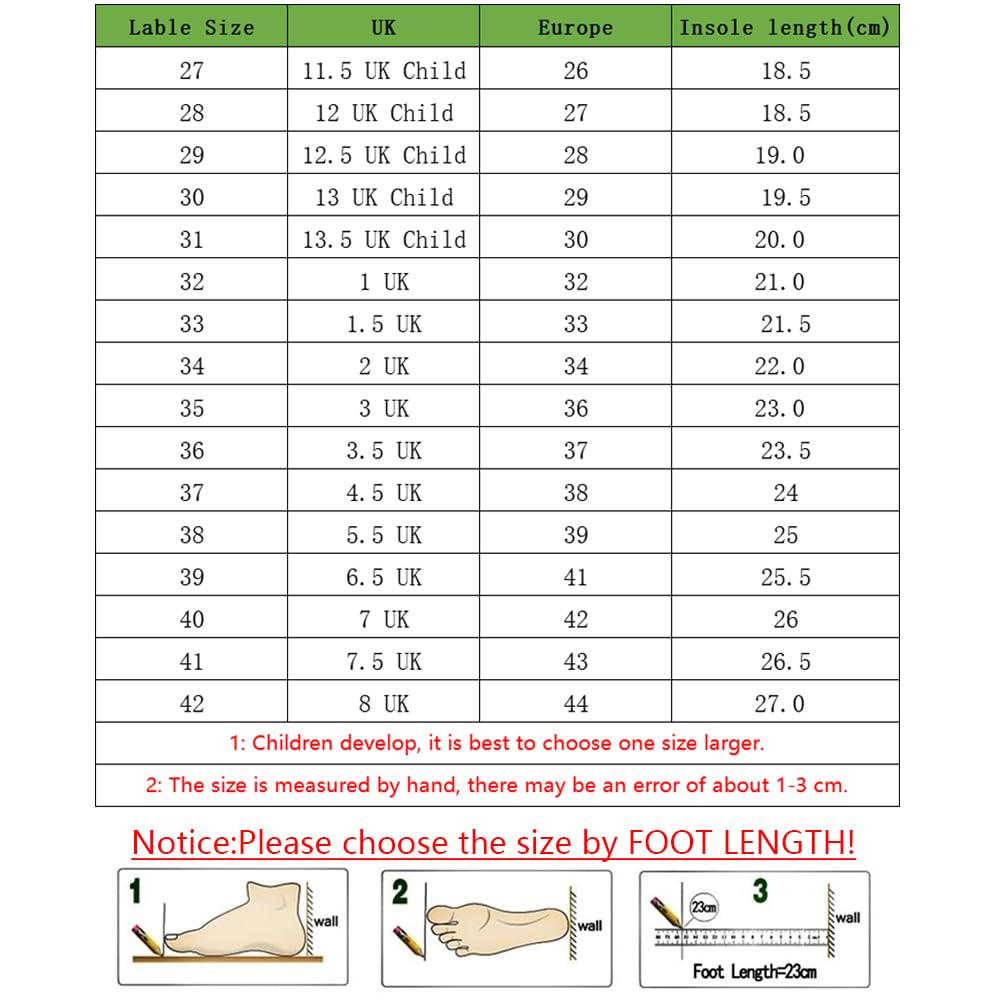 ENEN Chaussure a Roulette, Chaussures a roulettes Retractable Garçons, Mode Skateboard Baskets avec Roulette Enfant Fille, Roller 2 Roues Adolescents pour Intérieur Extérieur