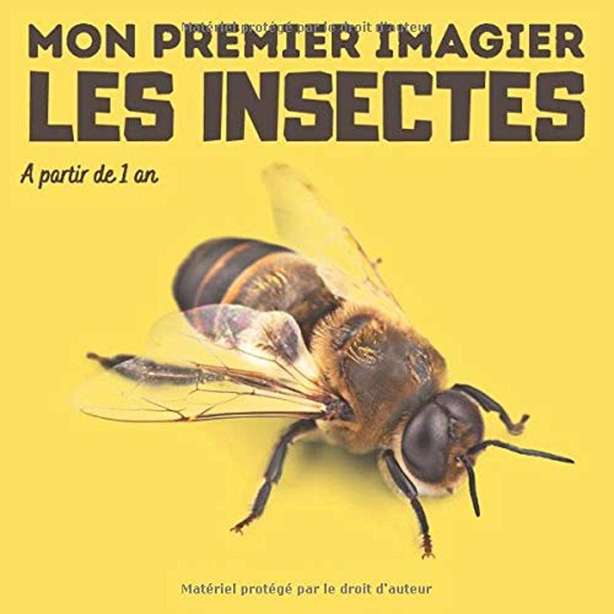 Mon premier imagier Les insectes: livre éducatif en couleurs pour enfants et les tout-petits à partir de 1 an - cadeau ludique
