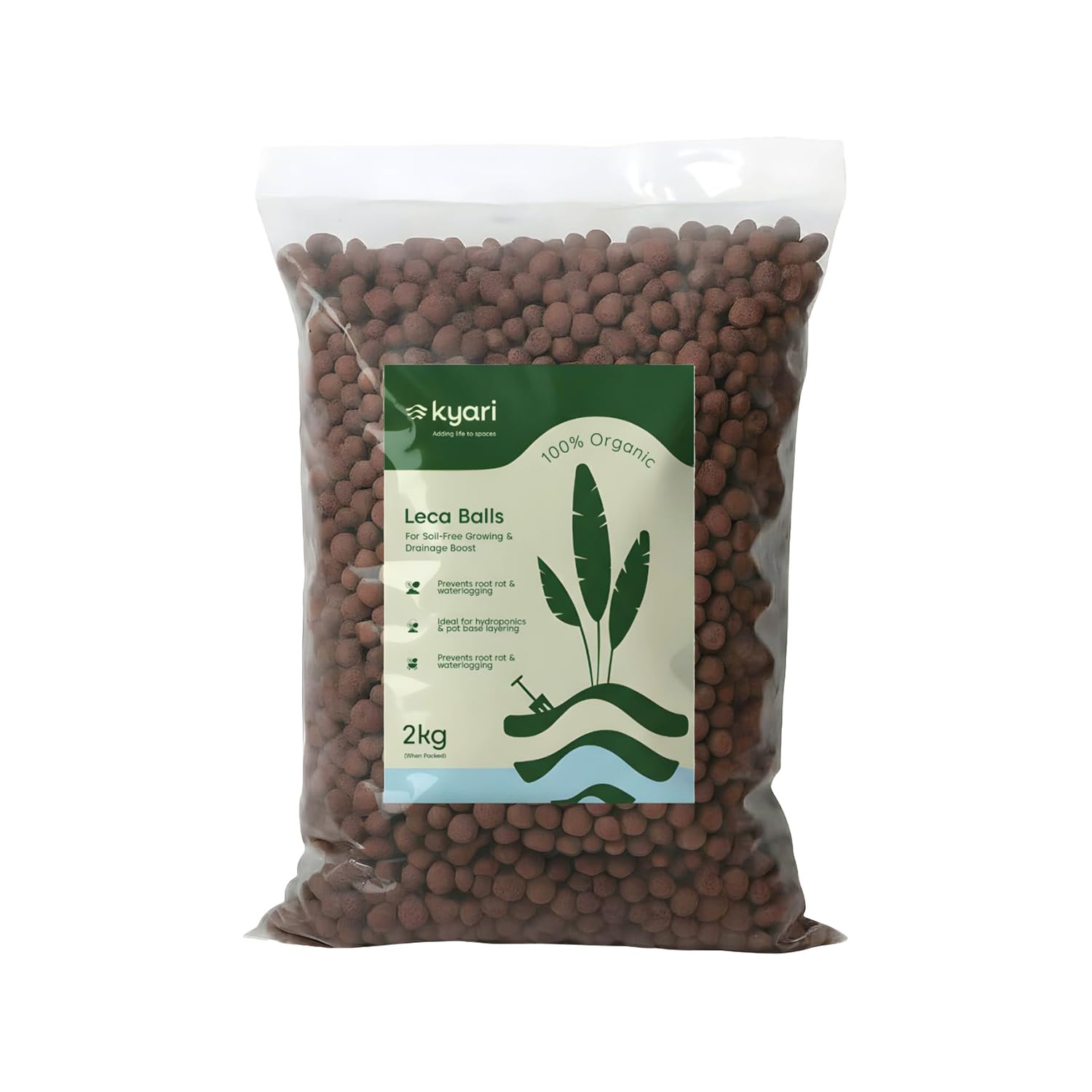 Kyari LECA Balls for Plants 1.8 kgs/ 6 Liter- Clay Balls for Plants, Hydroponics and Soilless Gardening-Improves Plant Growth, Aeration, and Drainage (Size: 8-15 mm)-image-34