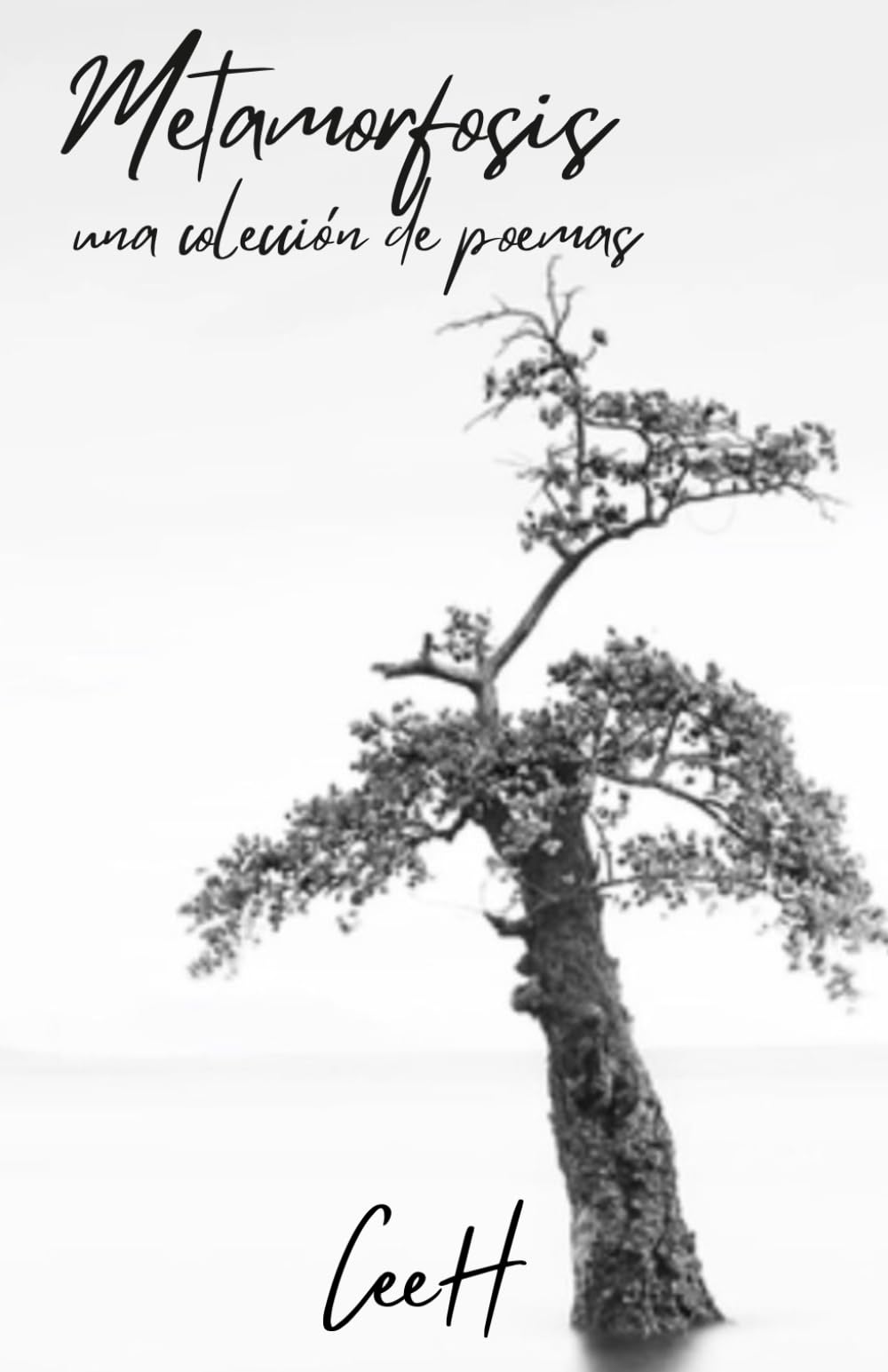 Metamorfosis: Una colección de poemas