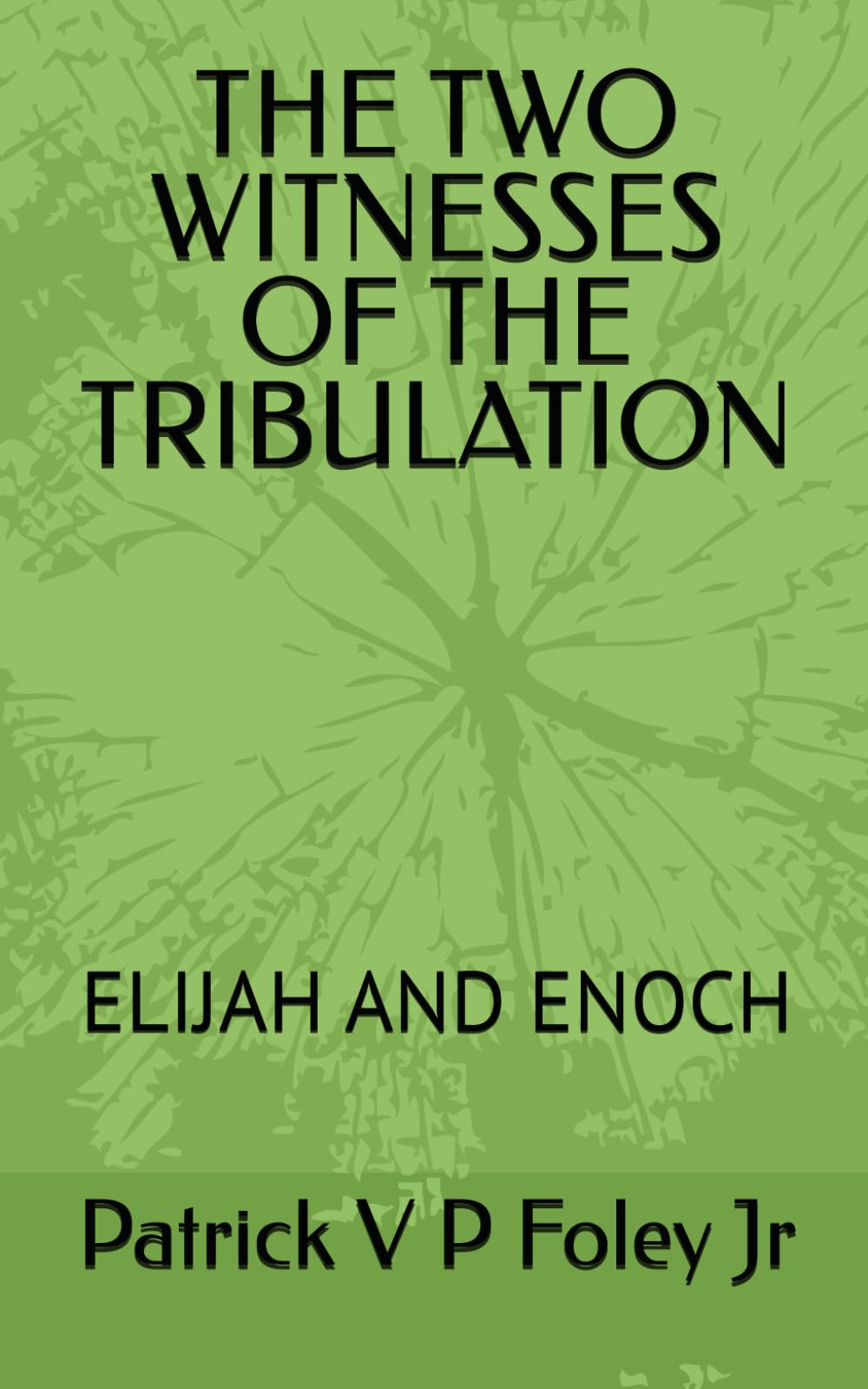 THE TWO WITNESSES OF THE TRIBULATION: ELIJAH AND ENOCH: 1 (THE END TIMES EVENTS)