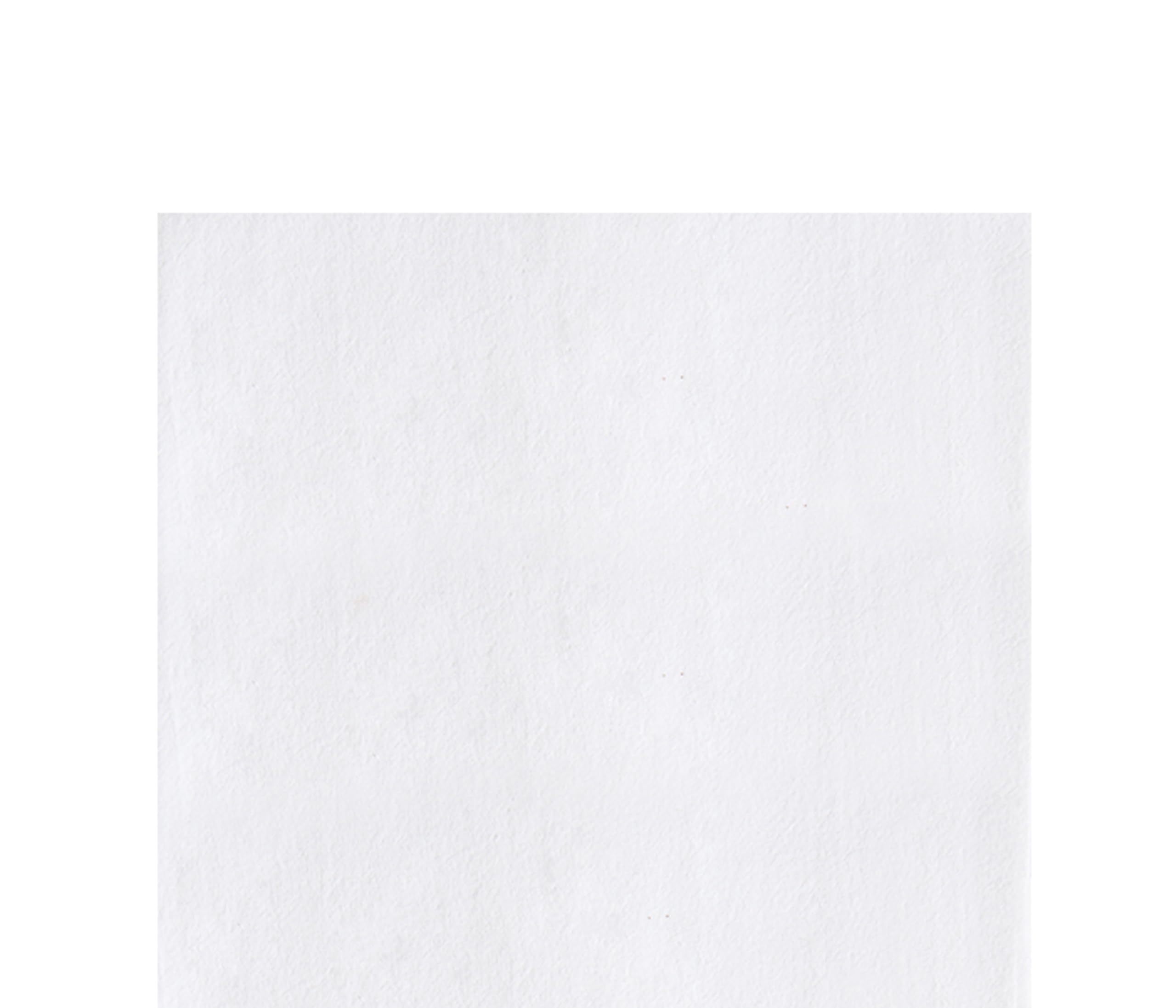 C&F Home Autumn Fields Pumpkin Towel Orange