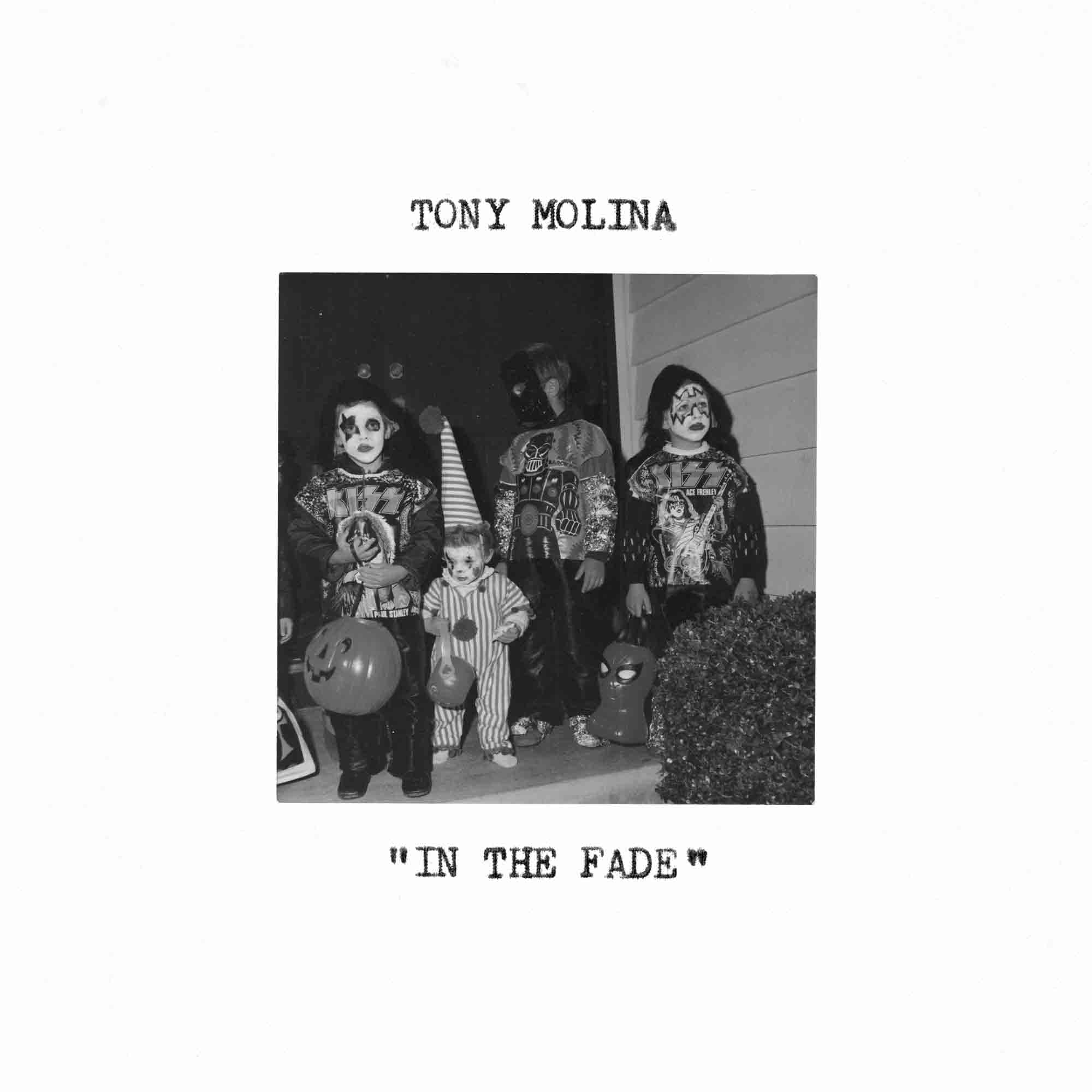 In the Fade (Red Vinyl) [VINYL]