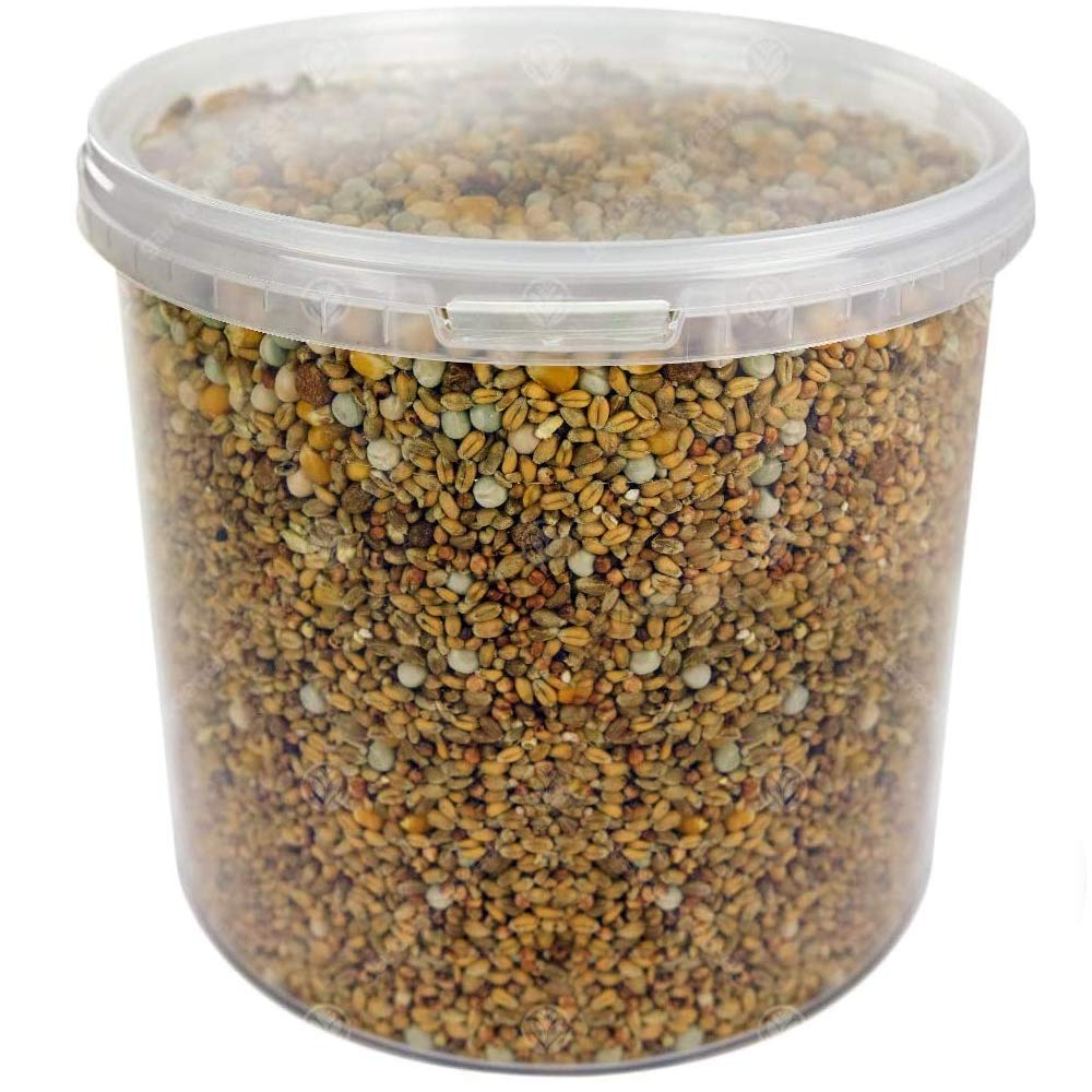 GardenersDream Four Seasons Pigeon Corn | Premium Grade Natural Food Mix | Rich in Nutritious Oils, Vitamins and Minerals | Perfect Year-Round Wild Bird Seed Feed | High in Energy & Protein (2.5L Tub)