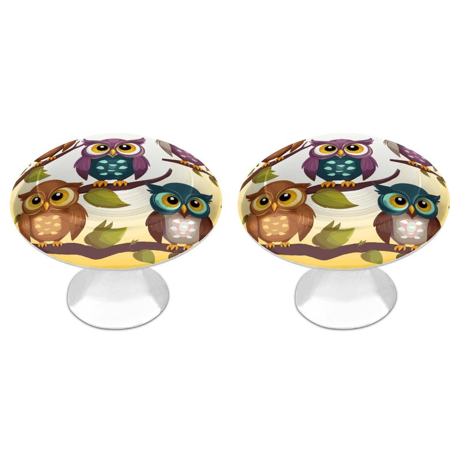 FekiLoot Owls Birds Cabinet Knobs Personality Stainless Steel Round Drawer Handles Circle Modern Cabinet Handles Drawer Knobs for Kitchen Dresser Bathroom Cupboard Furniture
