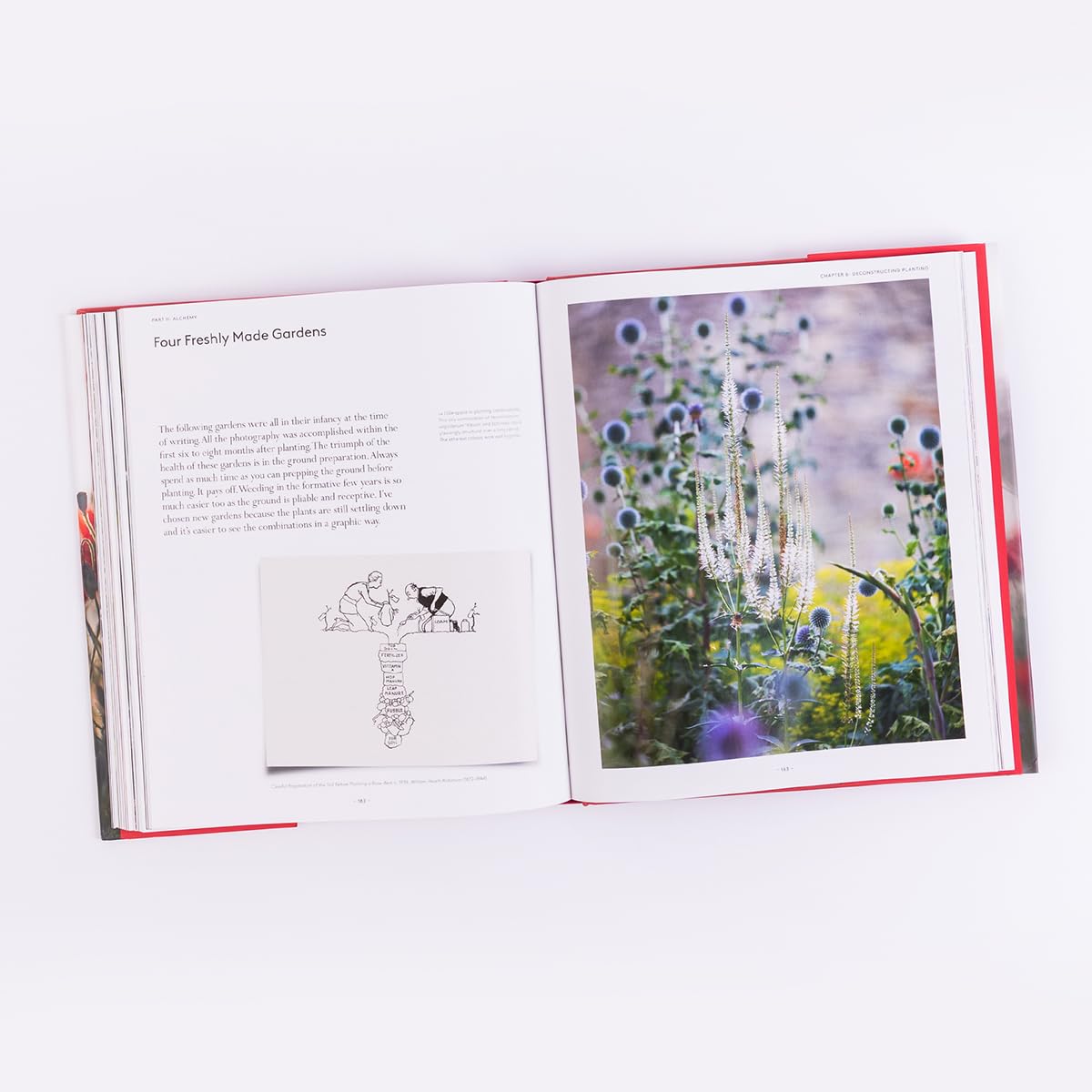 What Makes a Garden: A Considered Approach to Garden Design