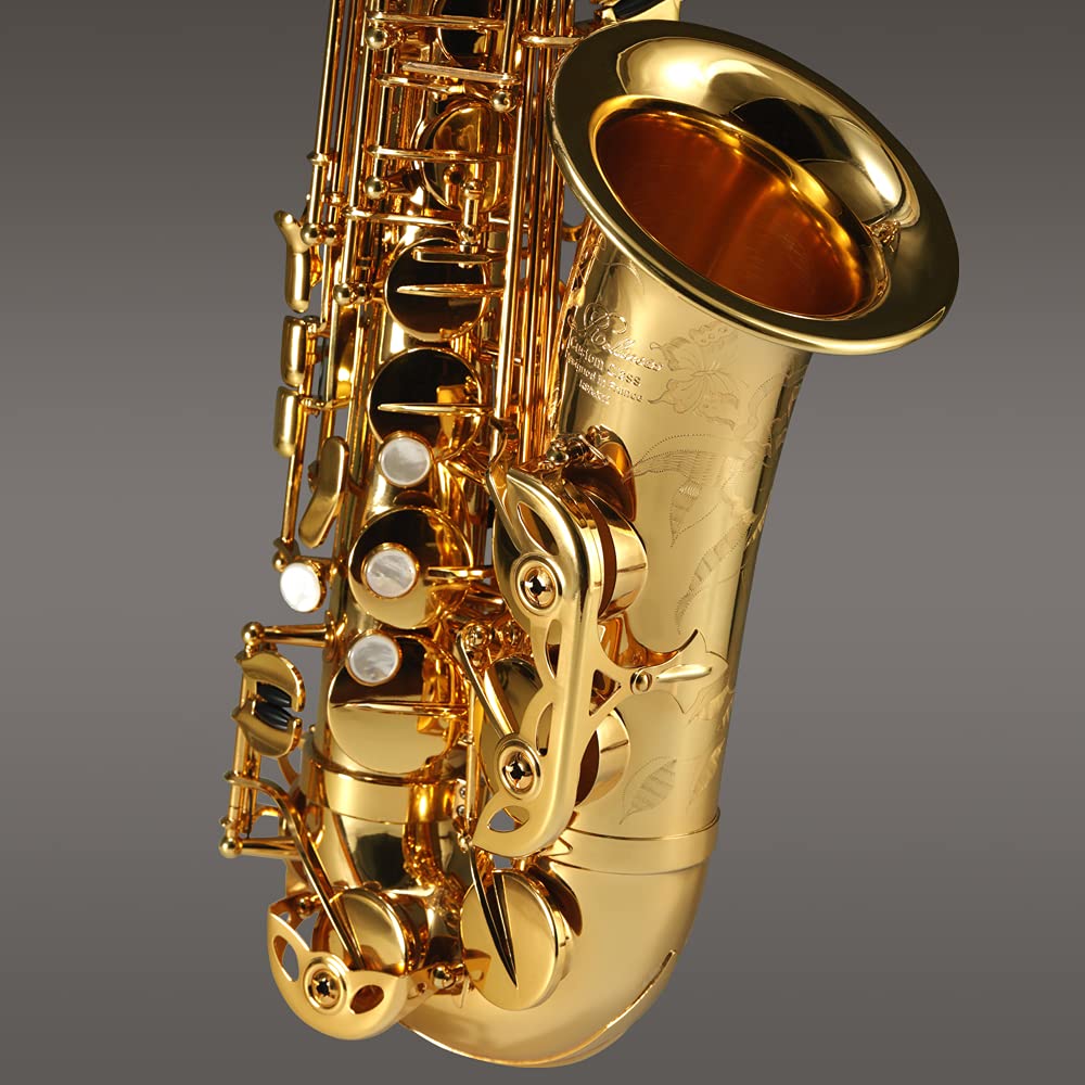 Rollins Saxophone alto RSA-X10,E flat Selmer 54-Key,Matière laiton, Or