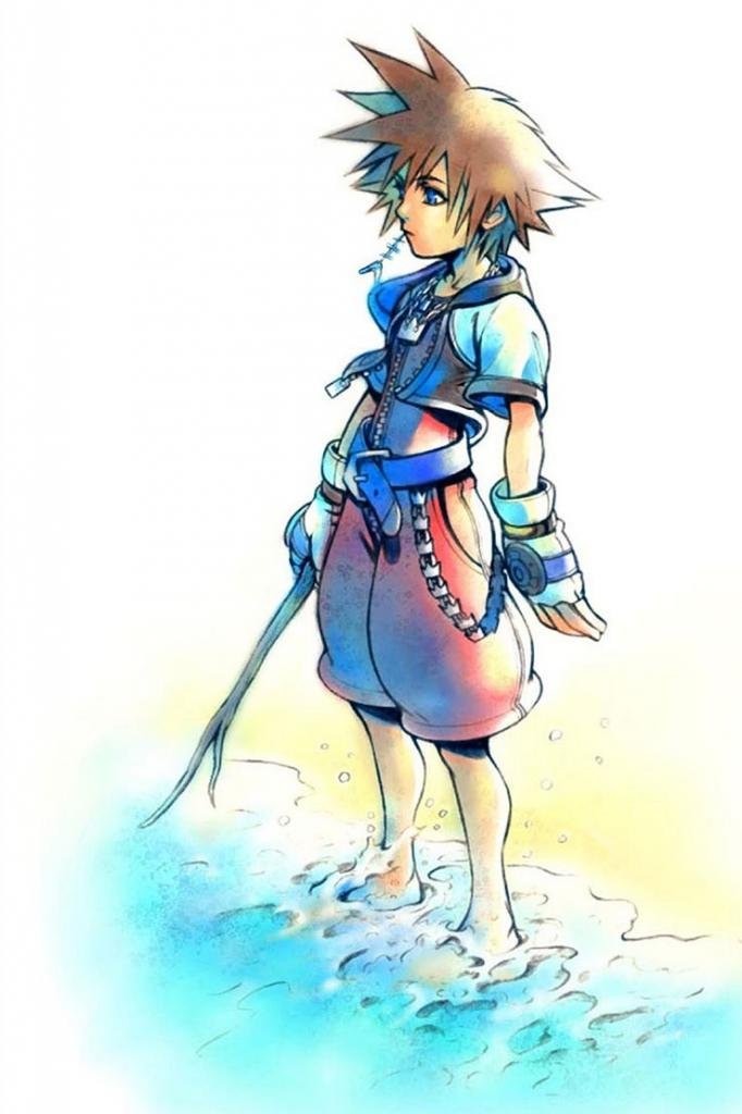 Amazon.com: Kingdom Hearts 2 3 Sora Organization XIII 13 Nice Silk