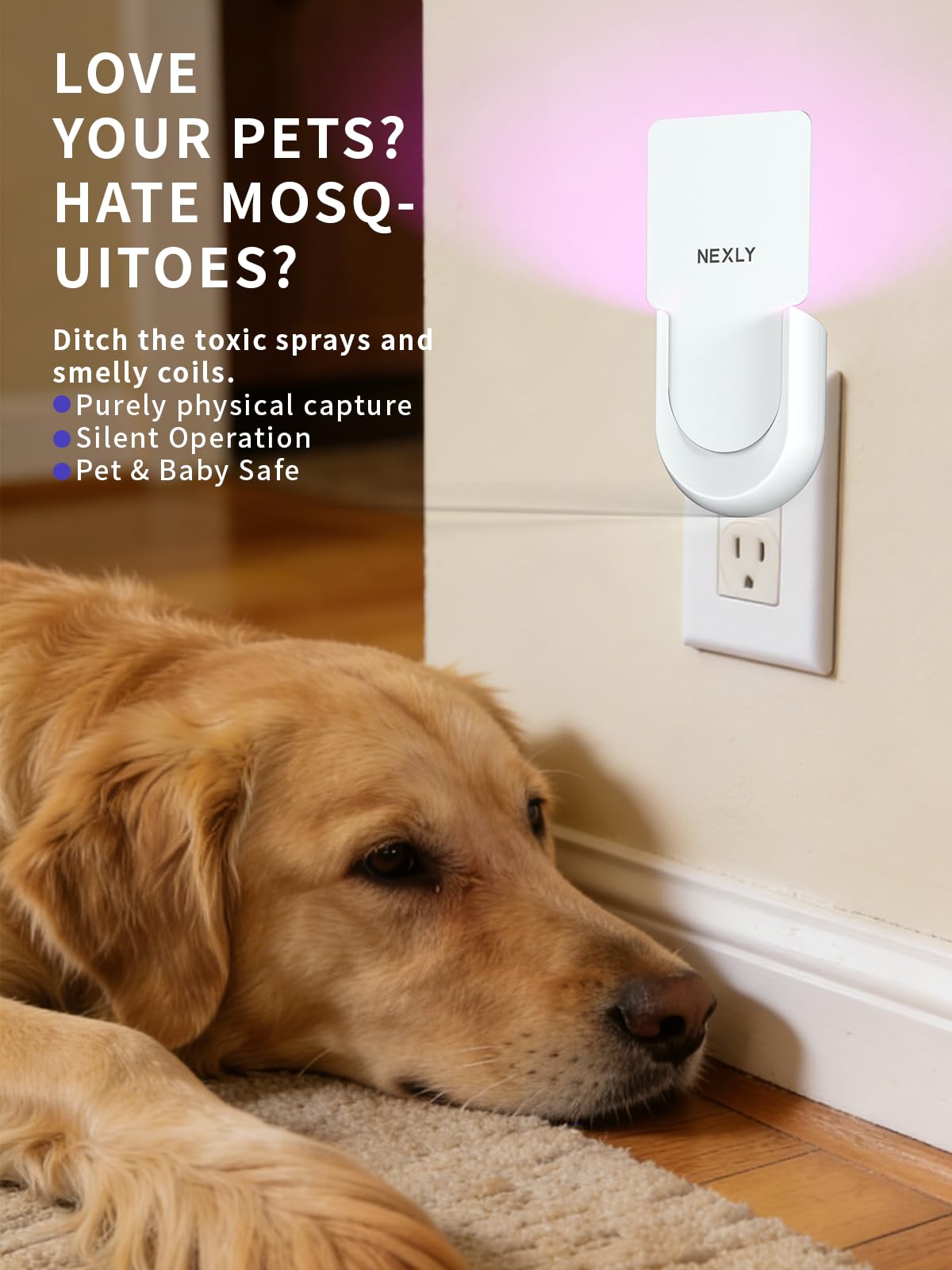 NEXLY MK030 - Trampa para moscas de la fruta para interiores, trampas para moscas de frutas para interiores, trampas para moscas de luz nocturna, para el hogar, dormitorio, sala de estar, cocina (1