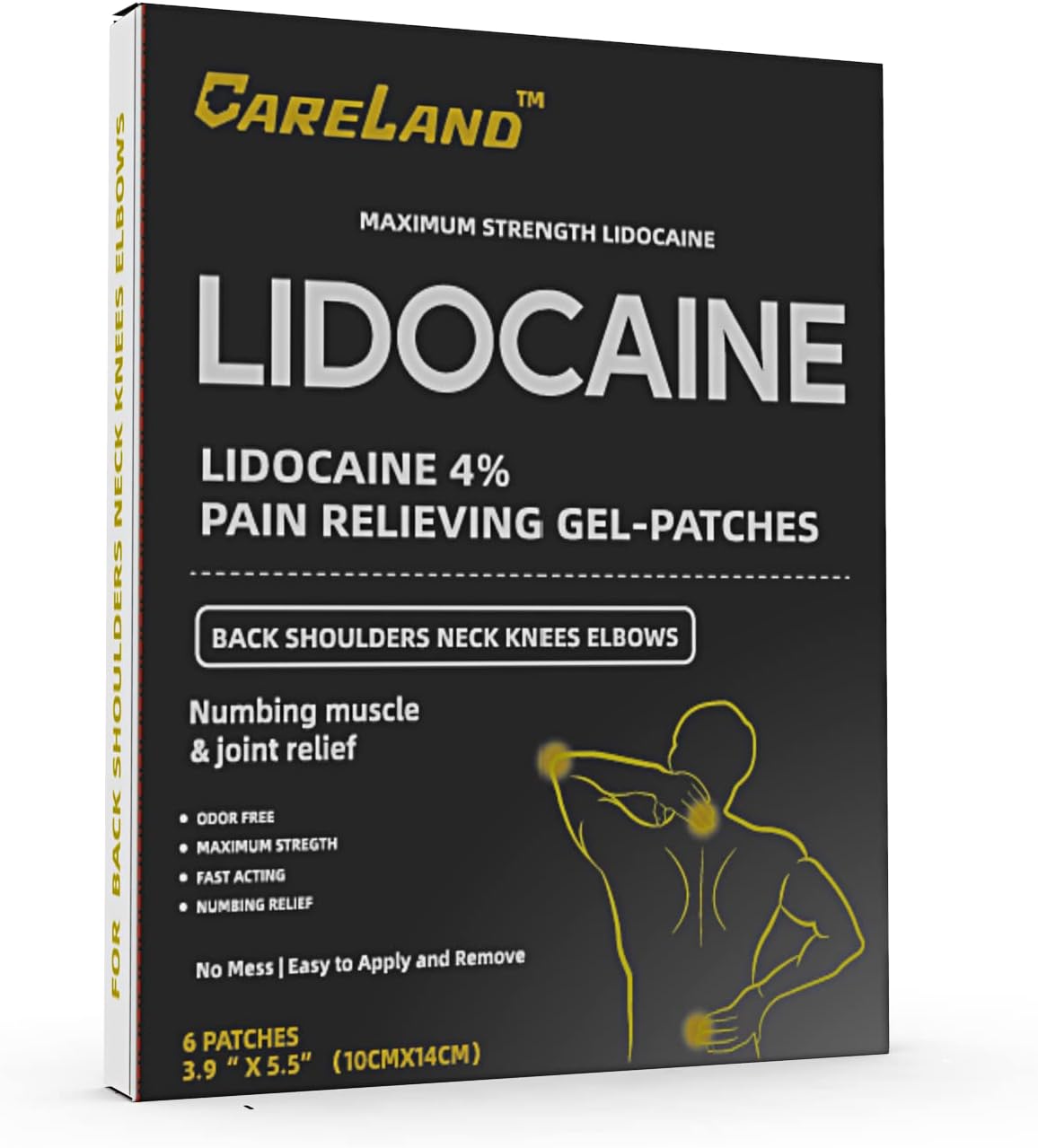 CareLand 4 Lidocaine Gel Patch, 6 Count Maximum Zambia Ubuy