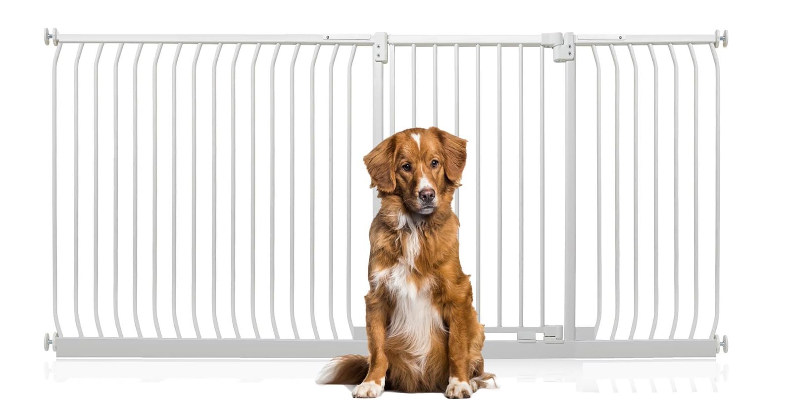 Bettacare - Extra Tall Dog Gate - Pressure Fit - 96.8cm Height - White - 216cm-225cm