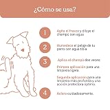 Ver la foto 7