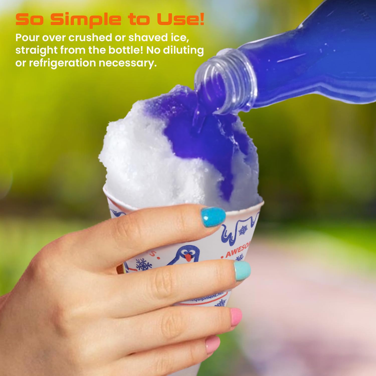 Amazon.com: Sugar-Free-Sno-Cone Syrup 32oz Six pack- (Choose Your