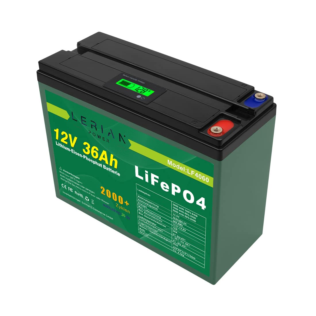 Batterie LiFePO4 12 V 36 Ah au lithium phosphate de fer pour camping bateau caravane solaire