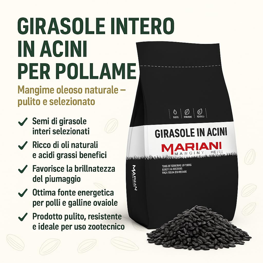 Girasole in Acini per Pollame, Mangime Oleoso Naturale, Semi di Girasole Interi Selezionati, Uso Zootecnico, No OGM
