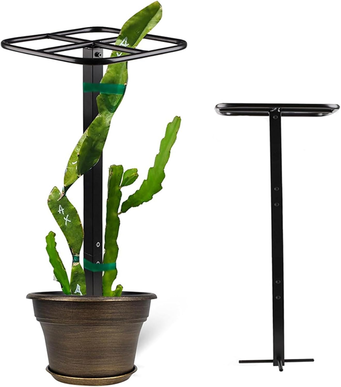 Adjustable Metal Dragon Fruit Tower Vertical Growth Vertical Plant Cage For Climbing Plant Cacti Outdoor Garden