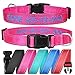 Personalized Dog Collar,Custom Embroidered Dog Collar with Name for XS Small Medium Large XL Large Dogs,Nylon Dog Collar in Purple,Blue,Red,Rose,Cyan for Bog and Girl Dogs