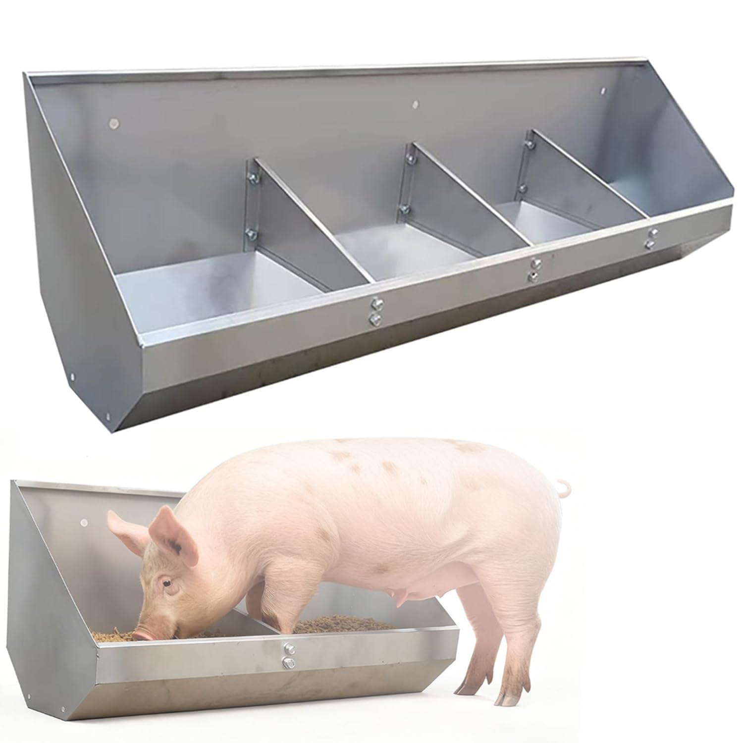 Mangeoire pour porc et volailles pour optimiser l'espace des enclos de ferme