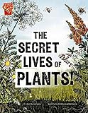 slingerland radio king drum kit  [(Secret Lives of Plants!)] [By (author) Janet Slingerland] published on (July, 2012)