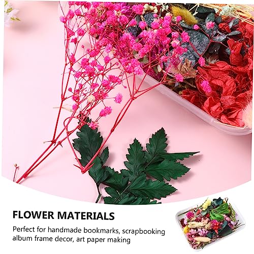 Materiales de Flores Secas para Manualidades DIY, 6 Cajas miniatura 4