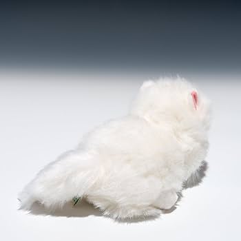 Amazon.co.jp: たけのこ プチどりーむ ミニ A ペルシャネコ