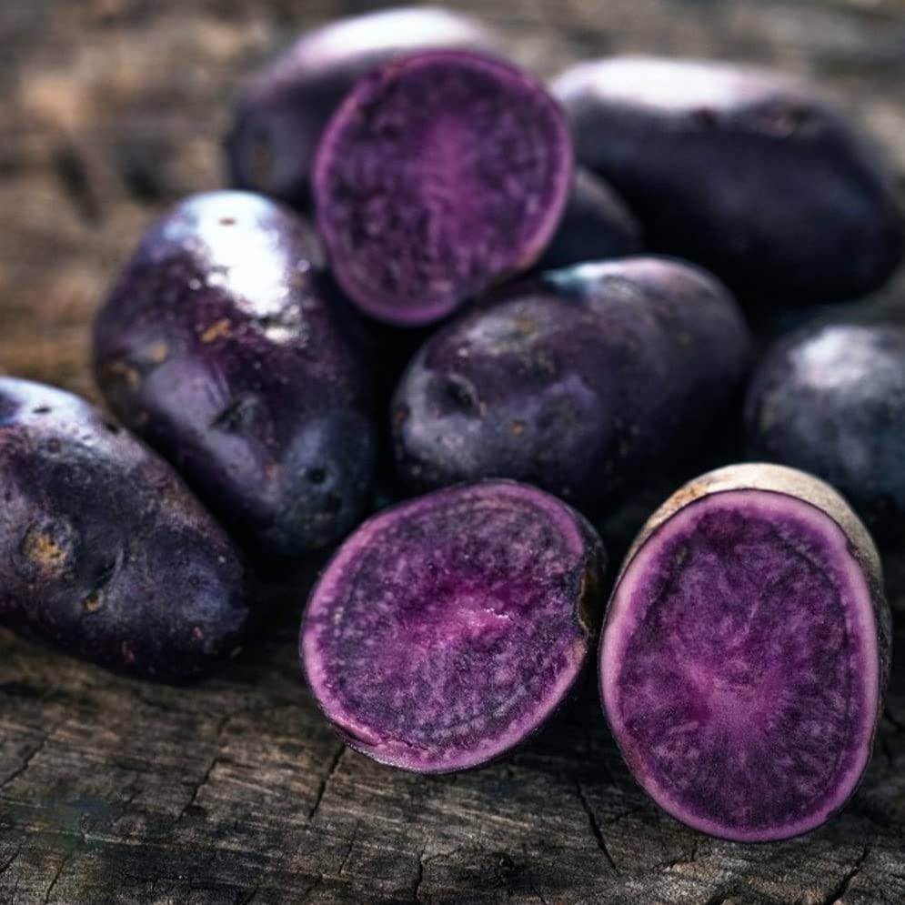 Amazon.com : Votaniki Purple Majesty Potato Tubers - High Yielding, Unique  and Nutritious Harvest, Potato Tubers for Planting - Low Maintenance & Easy  to Grow (4 Pack) : Patio, Lawn & Garden