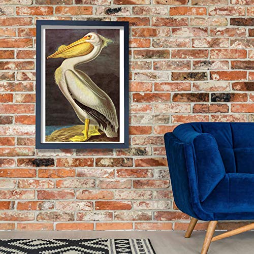 Impression d'art encadrée Pelican de John James Audubon format Grand Mat