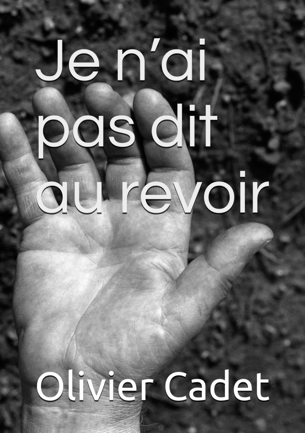 Je n’ai pas dit au revoir