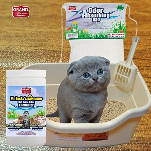 CarpetGeneral - Carpet Odor Absorber 53124 - Neutralizer, Deodorizer, and Eliminator - Carpets, Rugs, and Upholstery - Biological, Pet, and Food Odors - Professional - Case of 4, 1 Gallon Jugs