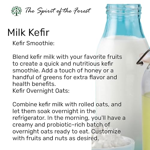 Miniatura 4 de Granos de kéfir de leche, frescos vivos, cultivos de kéfir, 50 mil millones de probióticos activos, para fermentos caseros amigables, guía incluida
