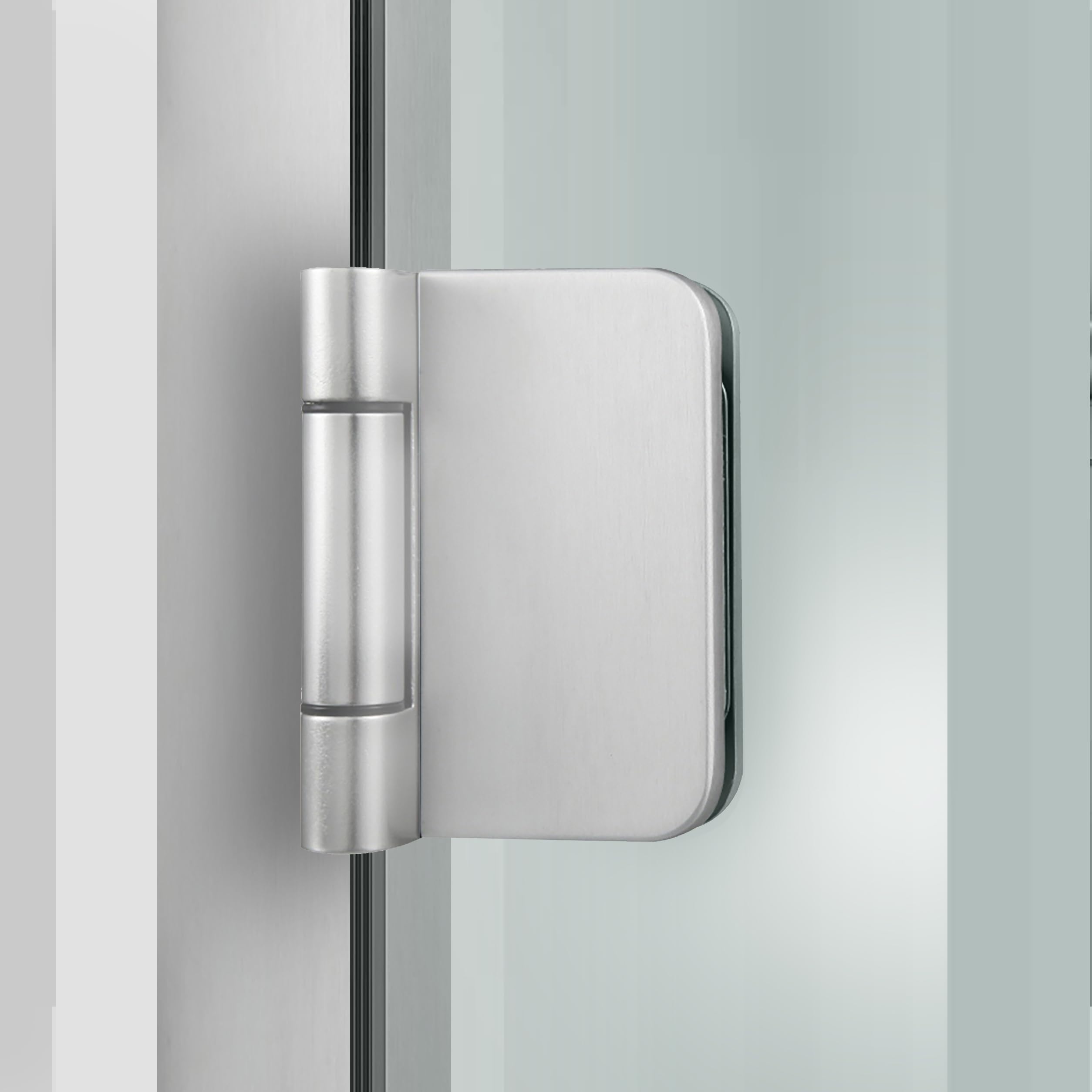 Porta interna in vetro con cerniera, modello albero, vetro di sicurezza trasparente da 8 mm, decorazione nera, cornice a L, adatta per apertura 80 x 198 cm