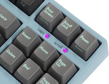 FILCO Majestouch 2SC TKL Double Shot PBT Mechanical Keyboard (Cherry MX Brown)