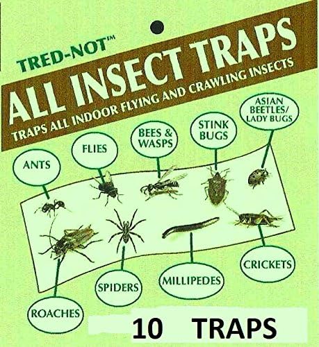10 Pk Camel Cricket/Roach/Scorpion Sticky Traps