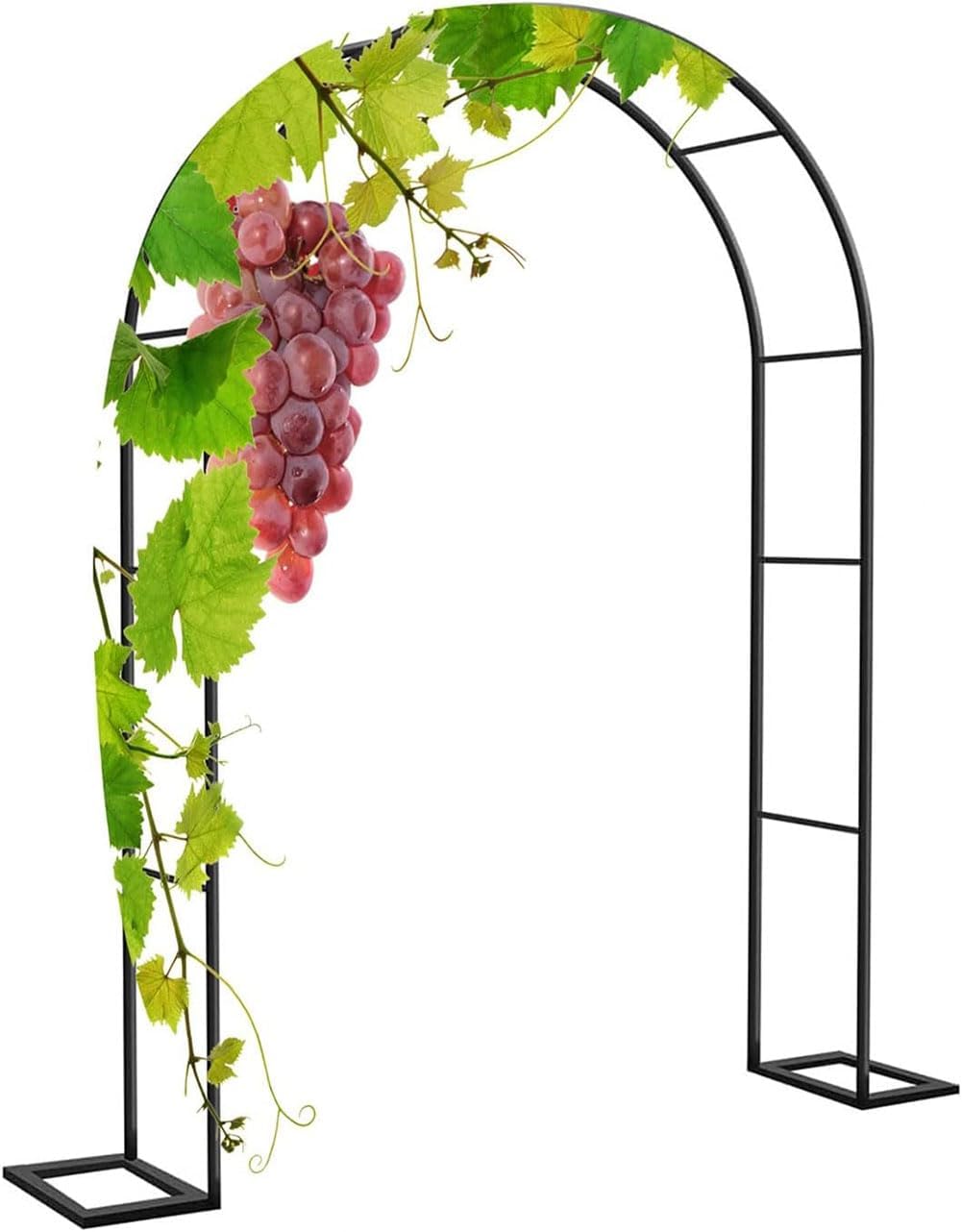 Garden Arbor Arch Steel Frame Weather Resistant Metal Archway for Climbing Plants, Free Standing Trellis Pergola 1.2M 1.4M 1.8M 2.4M 3M 3.5M Wide Garden Arch,Black,W1.8M*H2.2M