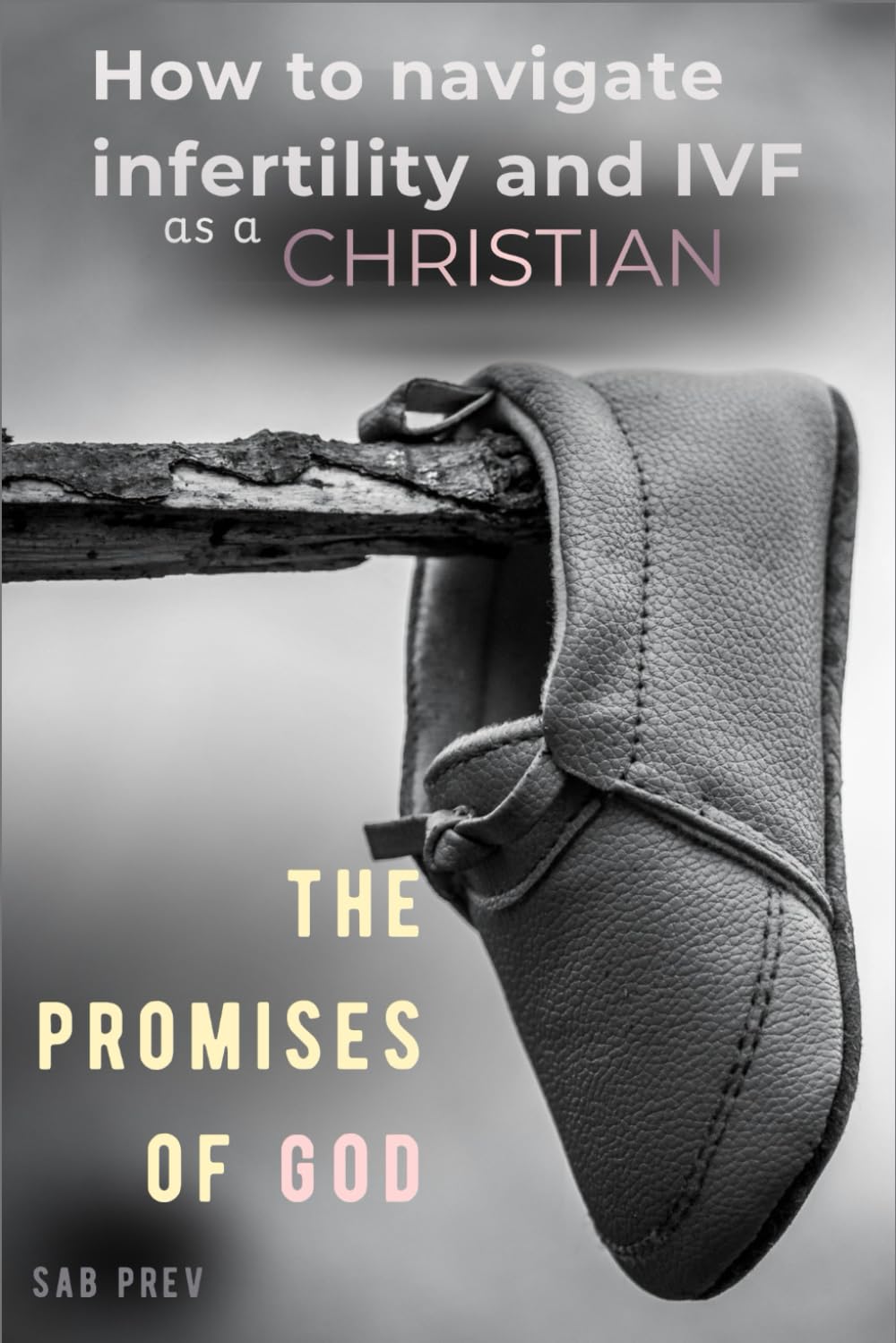 How to Navigate Infertility and IVF as a Christian: The Promises of God