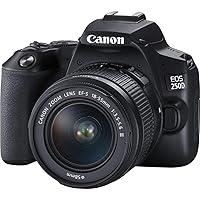 Canon EOS 250D (24,1 Megapixel, display orientabile da 7,7 cm (3 pollici)
