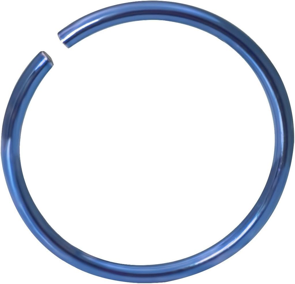 Forbidden Body Jewelry 20g Surgical Steel Titanium IP 10mm Nose Hoop (Gold, Black, Purple, Blue) - Image 2