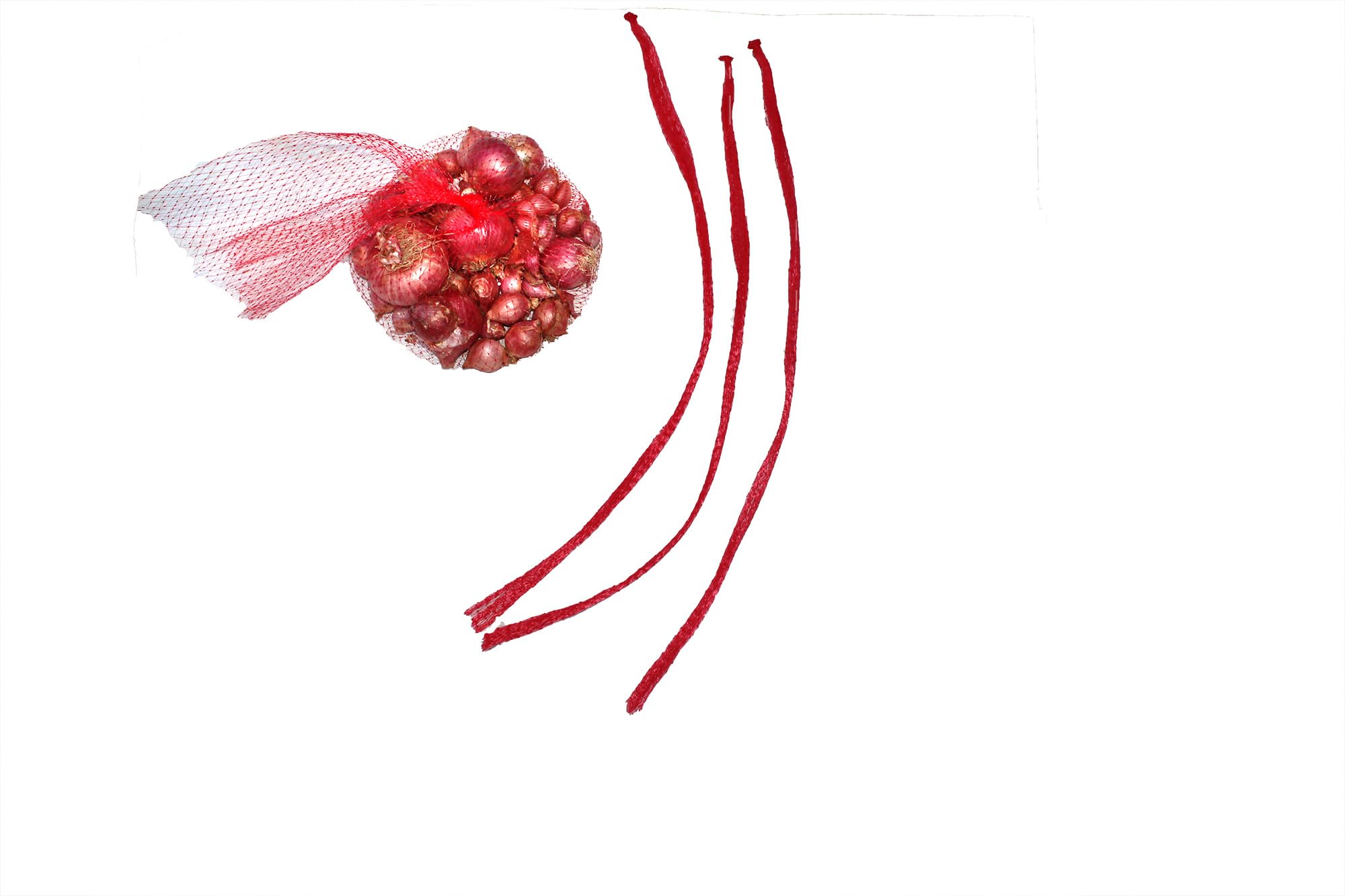 100Pcs Vegetable Non Toxic Nylon Mesh net Bags for Seafood Grocery Toys and Fruits (S)