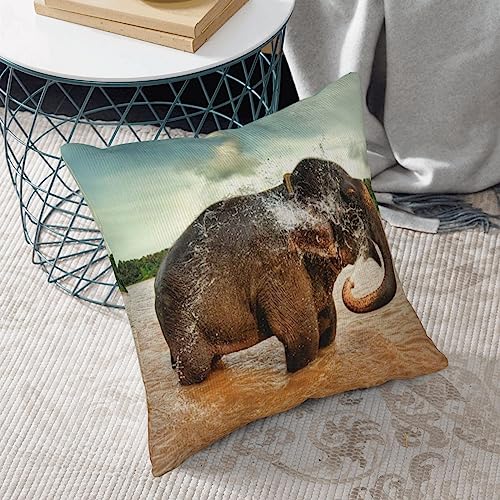 Housse de coussin velours côtelé éléphant pour canapé et lit doux