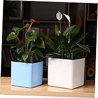 Vista 5 de GANAZONO 4 unidades, 1 juego de macetas de riego automático, maceta hidropónica para plantas suculentas, macetas para plantas de interior, macetas