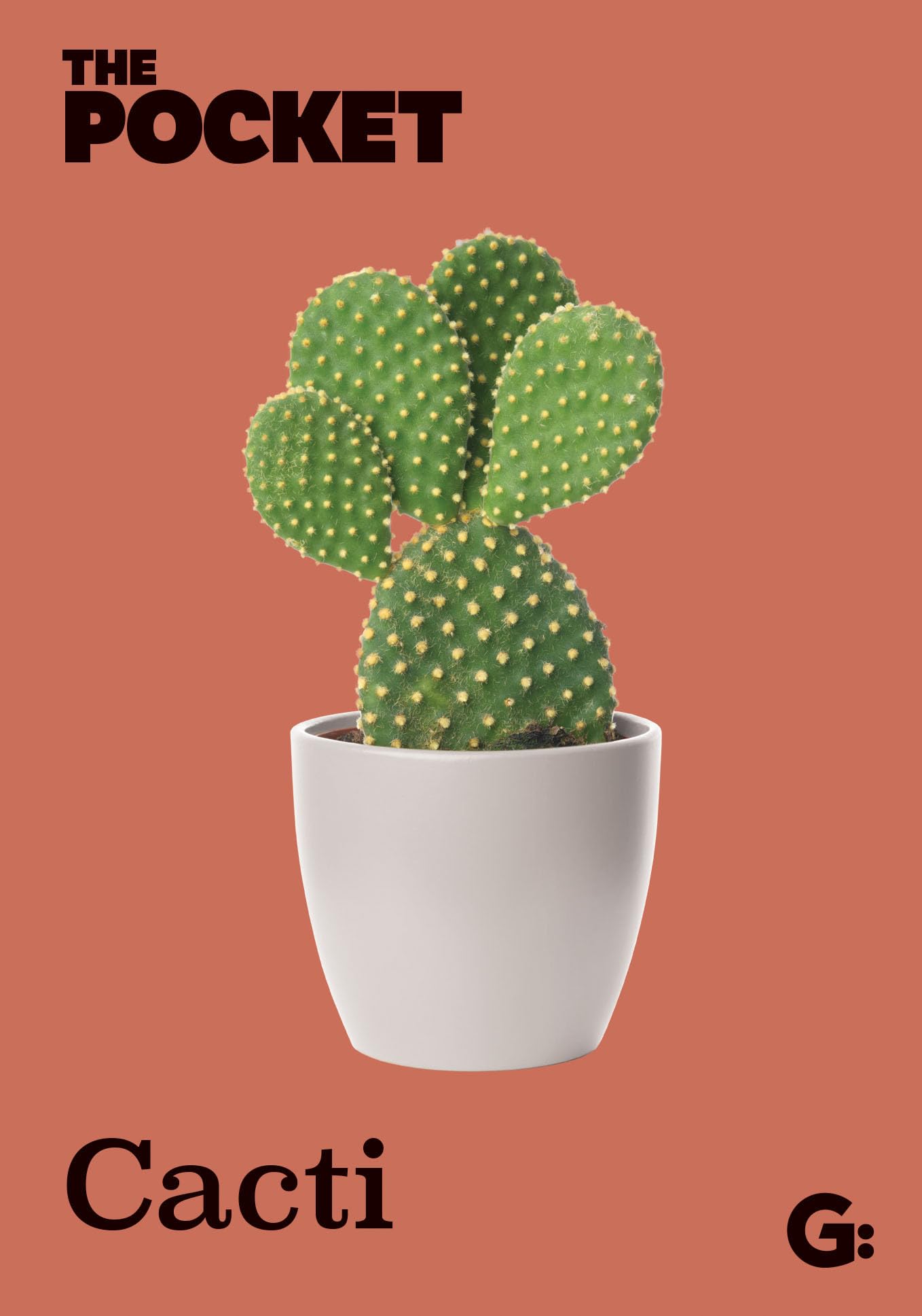 The Pocket Cacti (Gemini Pockets)