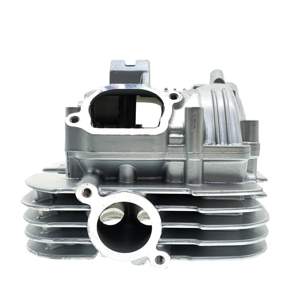 Amazon.com: Cylinder Head Replacement For GN250 DR250 GZ250