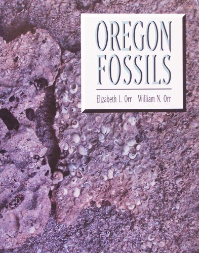 Oregon Fossils view 2