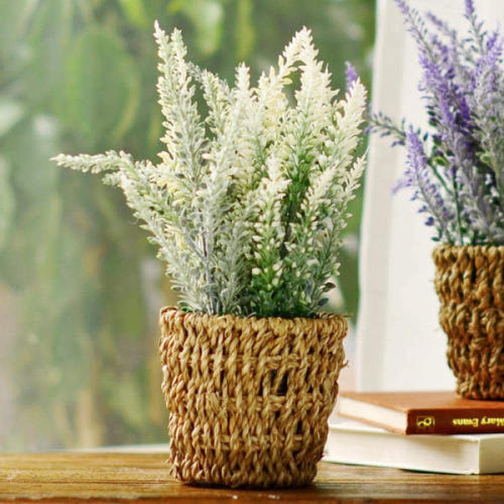 200Pcs Lavender Seeds White Beautiful Fragrance Flowers for Courtyard Gardening Planting Attracting Butterflies and Bees