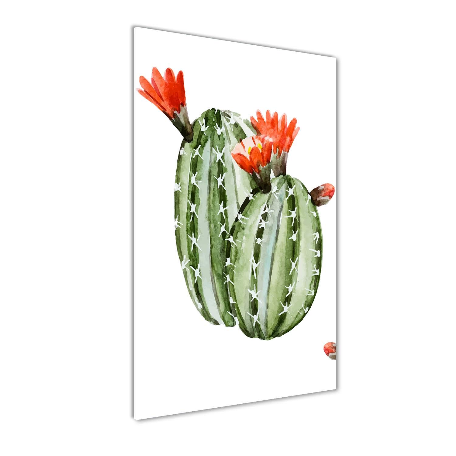 Tableau panoramique cactus orange 60x120 cm impression sur verre pour cuisine